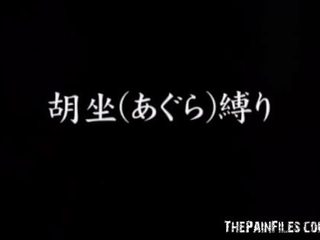 Tabithas วัยรุ่น ญี่ปุ่น ผ้าพันแผล และ เกี่ยวกับเอเชีย สิ่งของที่ทำให้มีอารมณ์